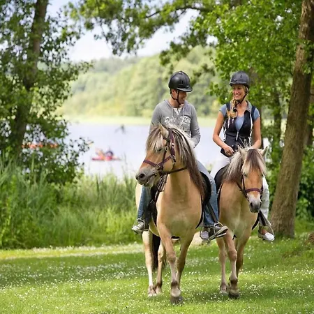 Ferienhaus Mit Sauna Im Mirow *