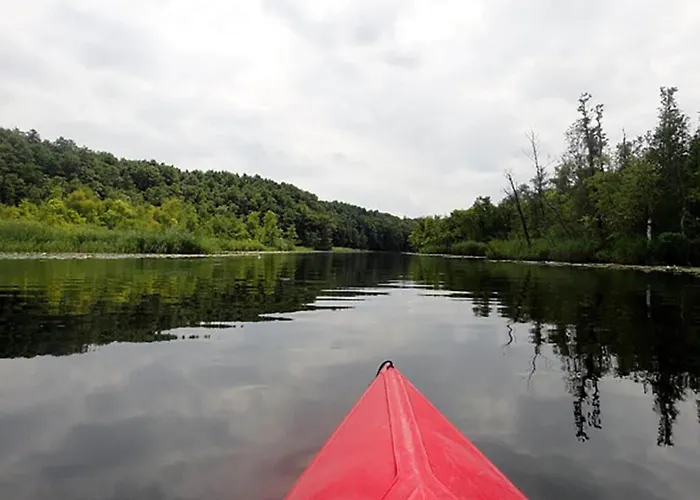 Mit Sauna Im Mirow בית נופש